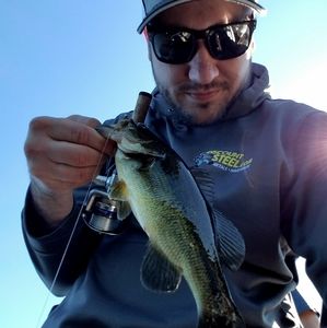 Meet your Posher, Jesse